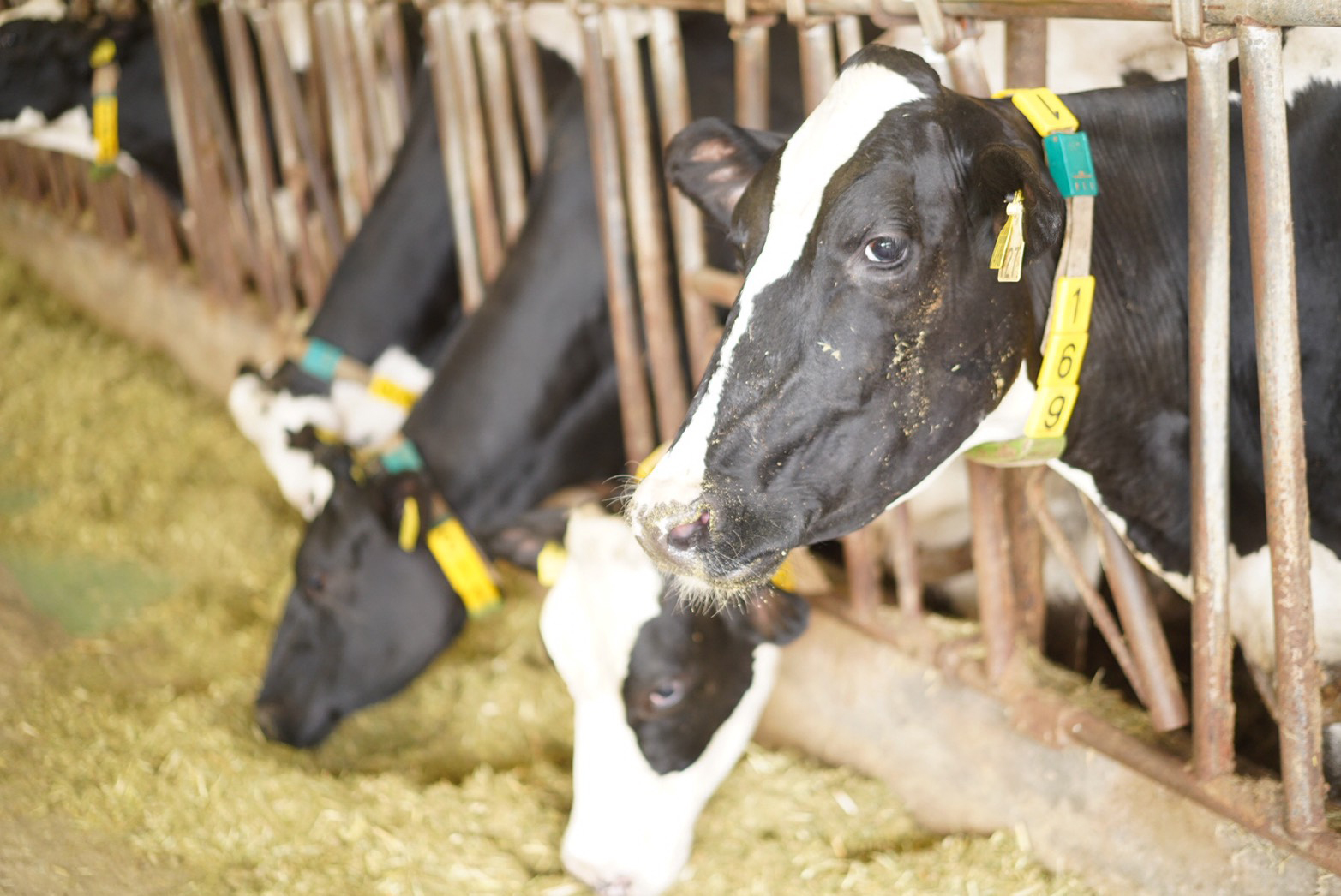 tar(タァ)渋谷店